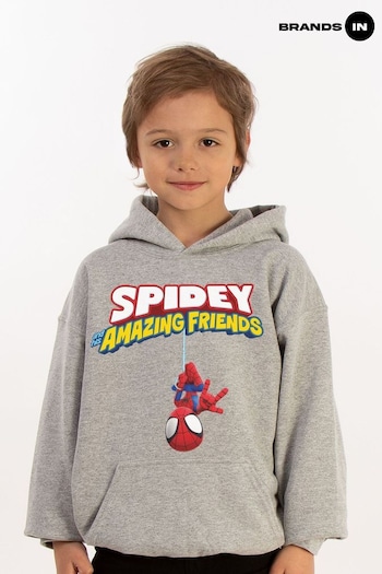 Brands In Grey Spider-Man Hanging Upside Down tipo Heather Hoodie (E11463) | £31