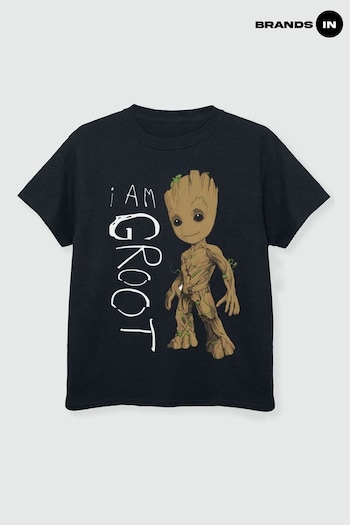 Essentials In Black Guardians Of The Galaxy Vol.2 I Am Groot Scribbles Boys T-Shirt (E11480) | £18