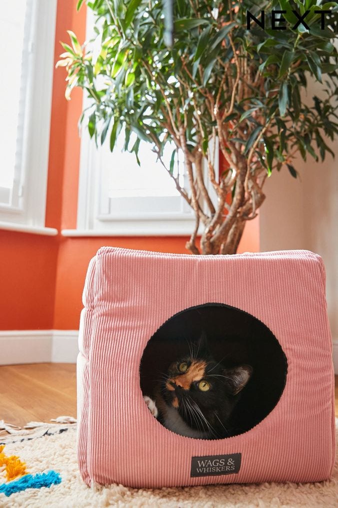 Pet Beds Dog Cat Beds Next UK