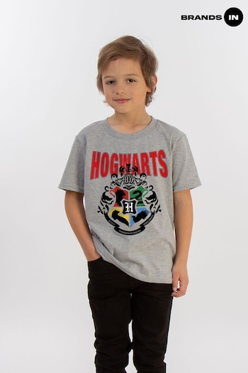 Essentials In Grey Harry Potter Hogwarts Emblem Boys Heather T-Shirt (E12200) | £18