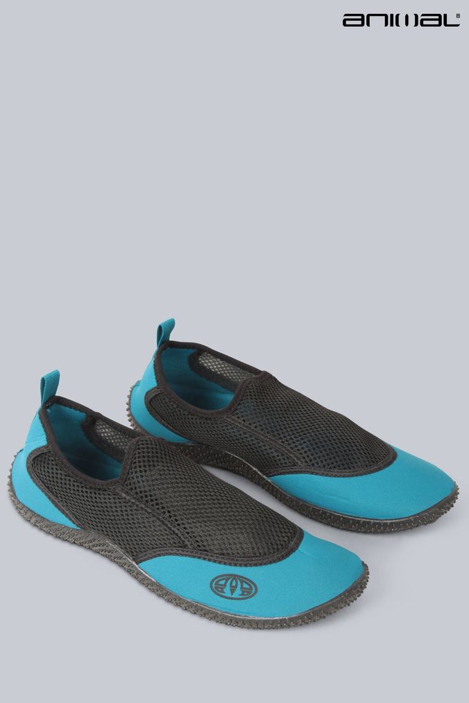 Buy Men s Newborn Boys Newborn Girls Older Boys Older Girls Blue Animal Label Footwear Online ParallaxShops