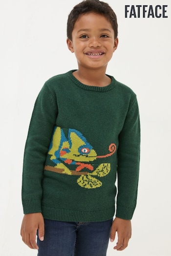 FatFace Green Chameleon Jumper (E50320) | £26