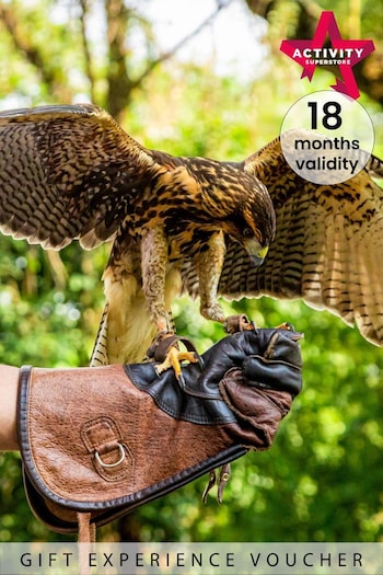 AS Falconry Taster Gift Experience (E69179) | £39