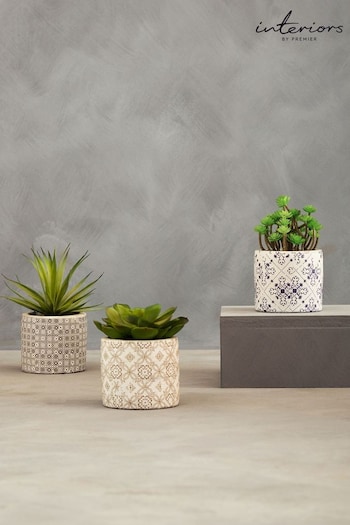 Interiors by Premier Green Set of 3 Fiori Succulents in Henna Ceramic Pots (E74584) | £60