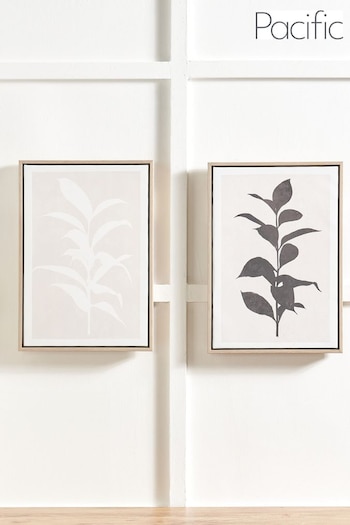 Pacific Natural Leaf Print Framed Canvas Set of 2 (E75961) | £60