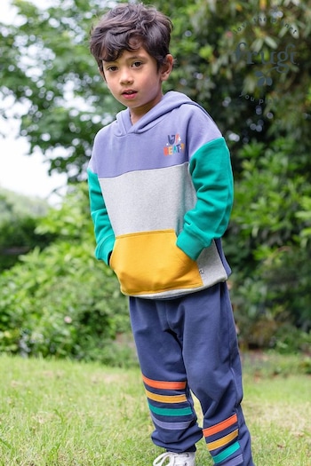 Frugi Purple Multi Colour Block Hoodie (E81498) | £40 - £42