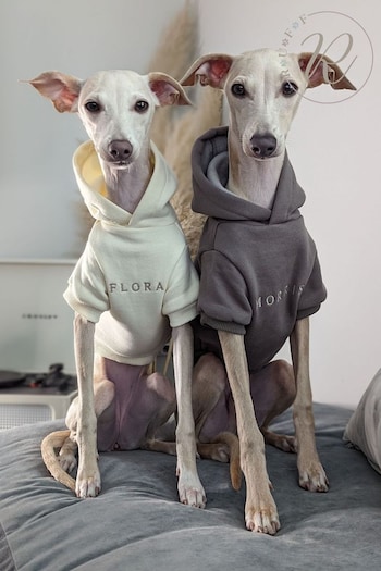 Personalised Luxury Dog Hoodie by RUFF (E96901) | £40