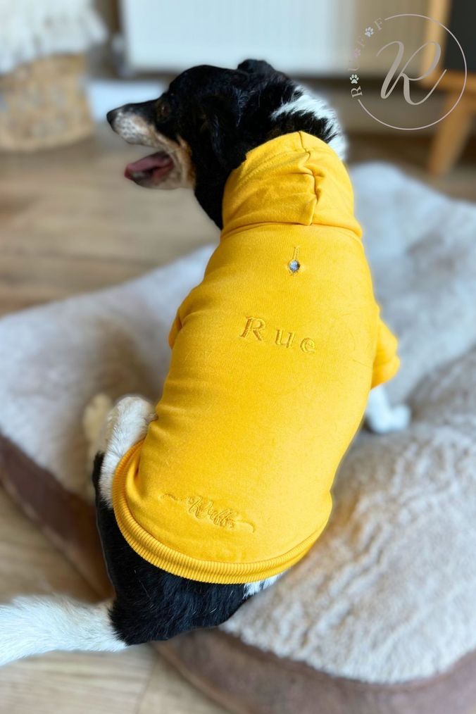 Yellow dog coats on sale