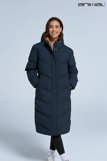 Animal Blue Womens Cocoon Borg Lined Padded Coat (F03929) | £139