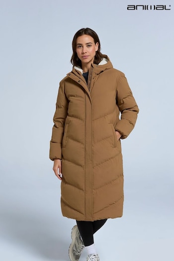 Animal Natural Womens Cocoon Borg Lined Padded Coat (F03948) | £139