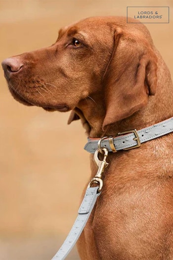 Lords and Labradors Grey Leather Dog Lead (F07884) | £50 - £60