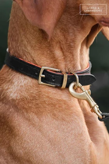 Lords and Labradors Black Leather Dog Collar (F22183) | £45 - £55