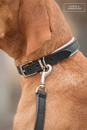 Lords and Labradors Black Grey Italian Leather Dog Collar (F32780) | £48 - £60