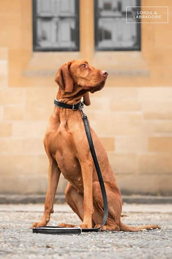 Lords and Labradors Black Grey Italian Leather Dog Lead (F40796) | £60 - £70