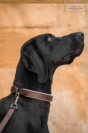 Lords and Labradors Brown Cream Italian Leather Collar Dog Collar (G98378) | £48 - £60