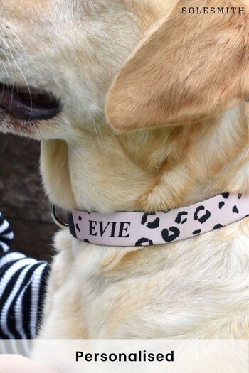 Personalised Leopard Print Dog Collar by Solesmith (K00717) | £16