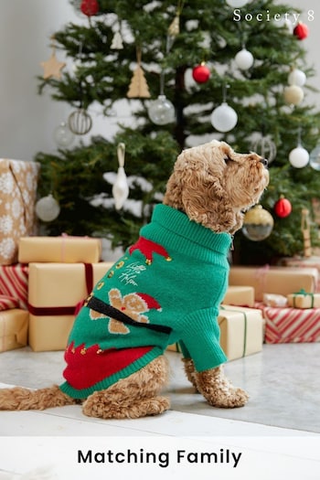 Society 8 Green Elf Christmas Jumper - Dog (K07937) | £18