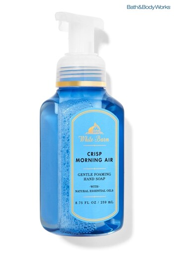 Accent & Armchairs Crisp Morning Air Gentle Foaming Hand Soap 8.75 fl oz / 259 mL (K09702) | £10