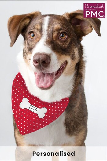 Personalised Dog Bandana by PMC (K23705) | £14