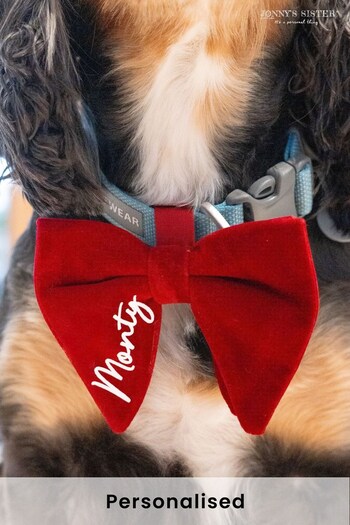 Personalised Velvet Dog Bow Tie by Jonny's Sister (K26709) | £25