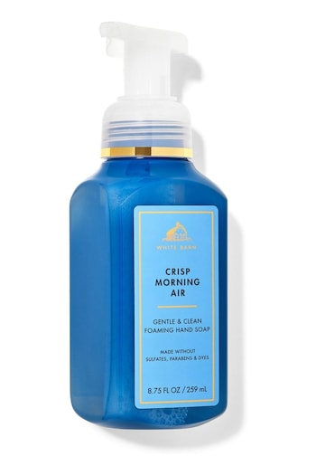 Bath & Body Works Crisp Morning Air Gentle and Clean Foaming Hand Soap 8.75 fl oz / 259 mL (K32505) | £10