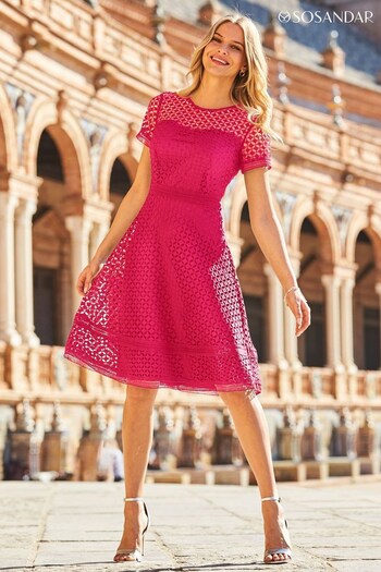 Sosandar Pink Guipure Lace Short Sleeve Fit And Flare Dress (K33033) | £95