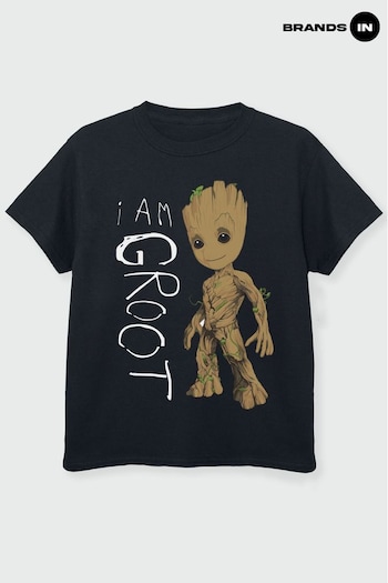 Brands In Black Guardians Of The Galaxy Vol.2 I Am Groot Scribbles Boys Black T-Shirt (K34266) | £18