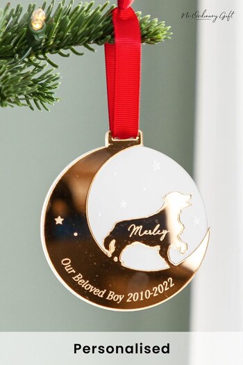 Persoanlised Metallic Mirror Dog and Moon Silhouette Layered Decoration by No Ordinary Gift (K34581) | £20