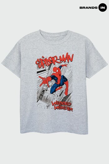 Brands In Grey Spider-Man Sketch City Boys Heather Grey T-Shirt (K48856) | £17.50