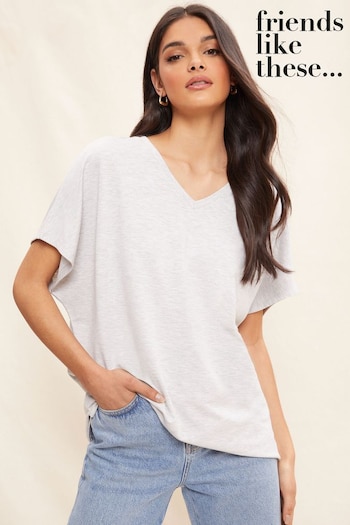 Friends Like These Grey Short Sleeve V Neck Tunic Top (K51247) | £20