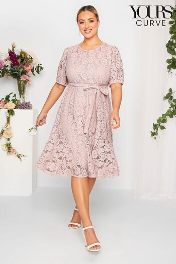 Yours Curve Pink London Lace Dress (K51924) | £55