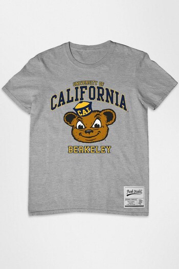 Park Fields Heather Grey Berkeley Mascot Men's T-Shirt (K56121) | £23