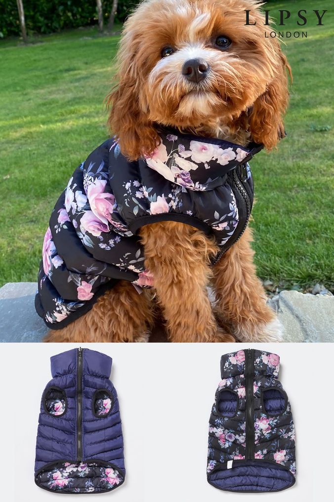 Lipsy reversible coat discount