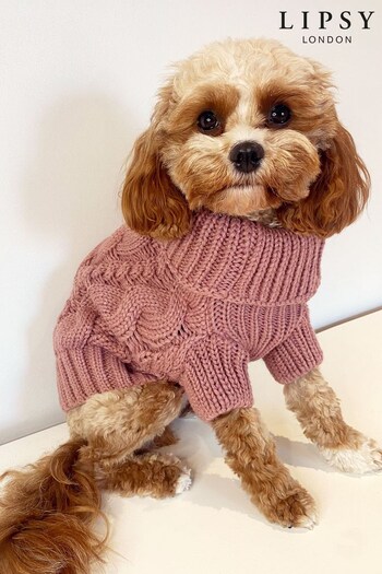 Lipsy Pink Super Soft Cable Knit Dog Jumper (K62075) | £10 - £16