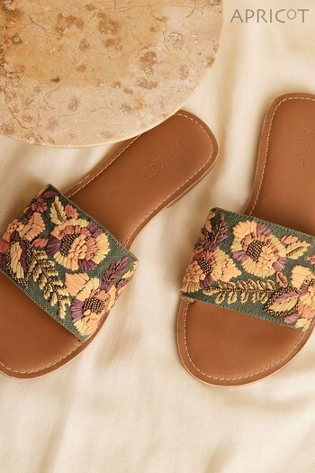 Apricot Green Multi Embroidered Canvas Flat Sandal (K62091) | £32