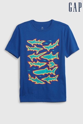 Gap Navy/Blue Organic Cotton Graphic T-Shirt (K63776) | £10