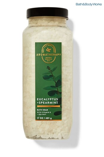 Bath & Body Works Eucalyptus Spearmint Bath Soak 17 oz / 481 mL (K65800) | £24