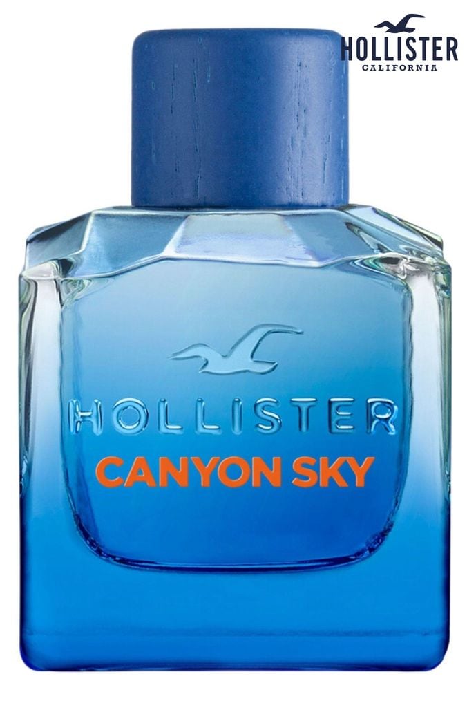 Hollister T Shirts For Men Women Next UK