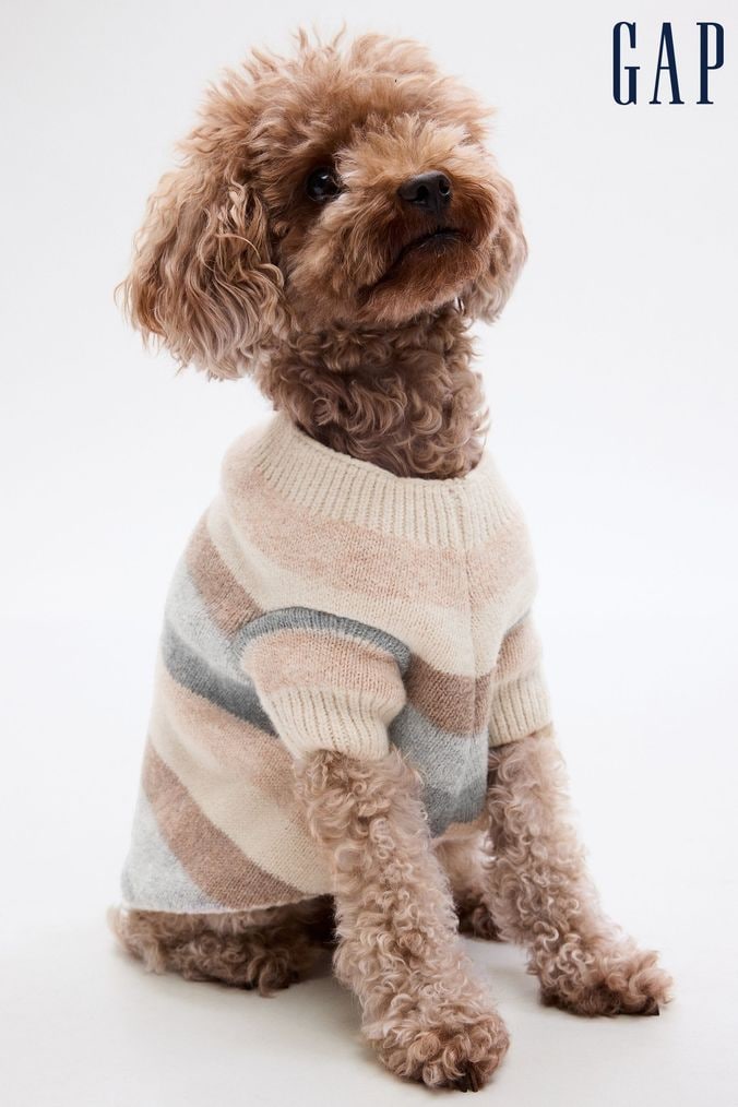Dog jumpers next online