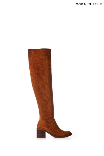 Moda in Pelle Sarianne Over The Knee Pointed Block Heel Brown Boots (K72379) | £179