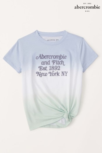 Abercrombie & Fitch Blue Ombre Logo Graphic Print T-Shirt (K74419) | £20