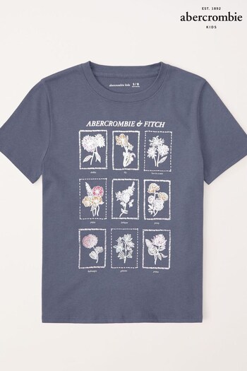 Abercrombie & Fitch Grey Graphic Floral Print T-Shirt (K74429) | £19
