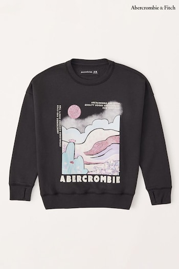 Abercrombie & Fitch Desert Graphic Crew Neck Black Sweat Top (K74431) | £39