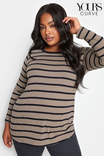 Yours Curve Brown Core Basic Long Sleeve Stripe T-Shirt (K77719) | £19