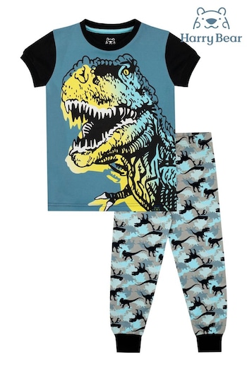 Harry Bear Blue Dinosaur Snuggle Fit Short Sleeve Pyjamas (K82994) | £19