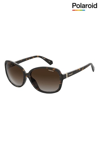 Polaroid 4098/S Butterfly Brown Gant Sunglasses (K86728) | £60