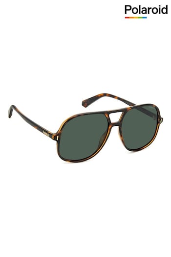 Polaroid 6217/S Caravan Brown Gant Sunglasses (K86748) | £50