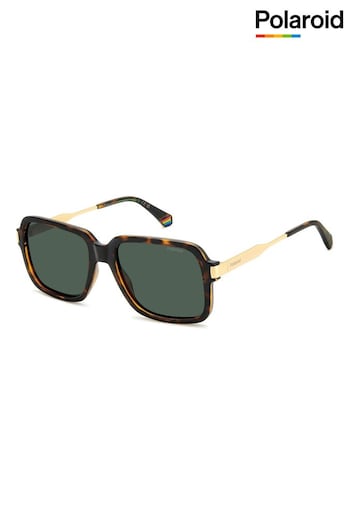 Polaroid 6220/S/X Square Brown Sunglasses (K86767) | £69