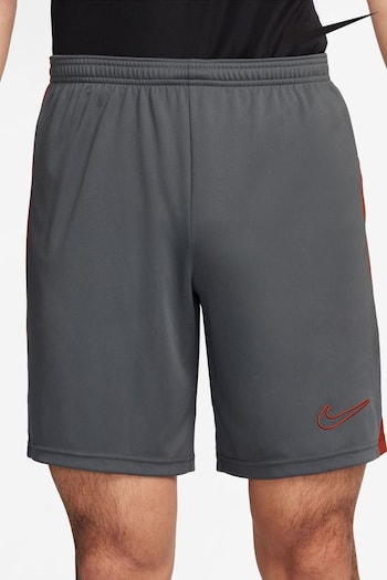 Nike Iron Grey Dri-FIT Academy Training Shorts (K87135) | £23