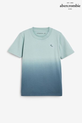 Abercrombie & Fitch Blue Ombre Logo T-Shirt (K91663) | £15